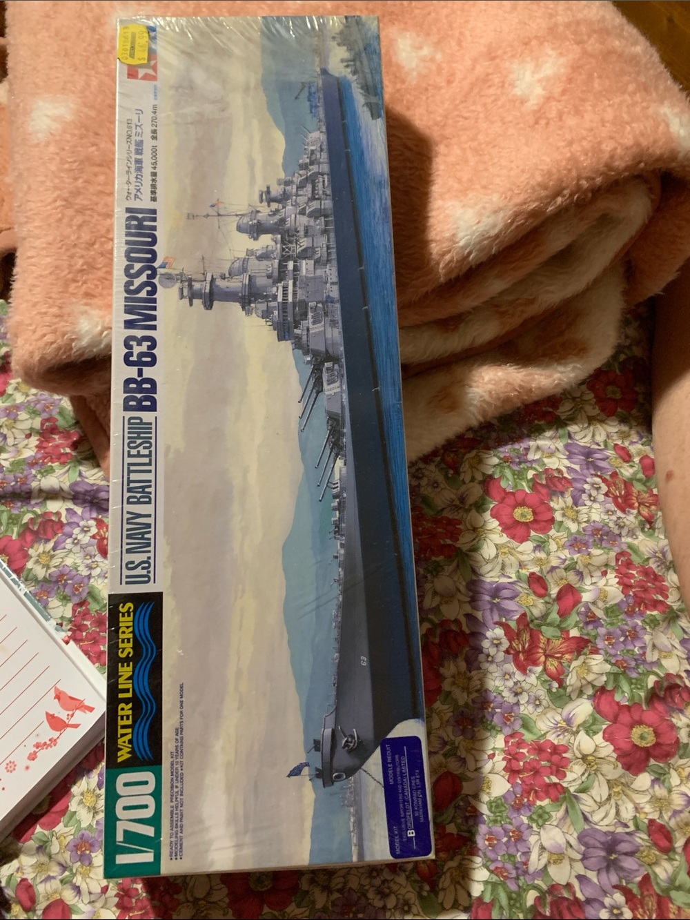 Battleship Model Kit - US Navy BB-63 Missouri